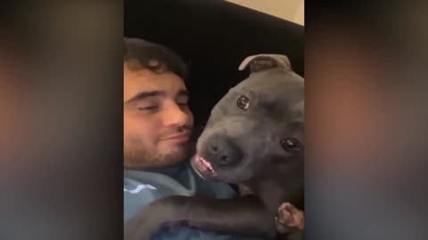 Funny animals - Funny cats / dogs - Funny animal videos | Part 3