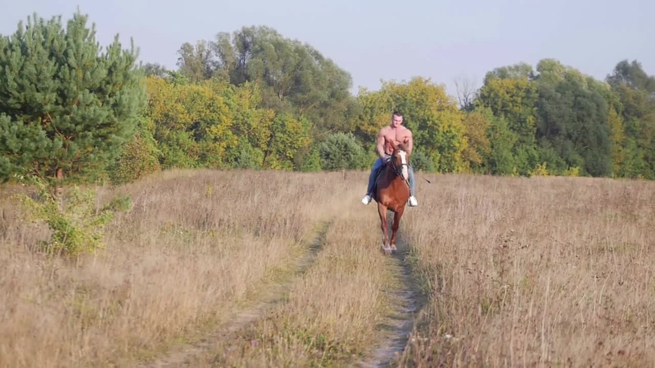 Inflated man with a strong physique rides a horse on the field from the forest