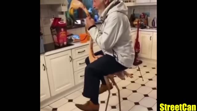 funny internet daily dose (you laugh you like challenge)