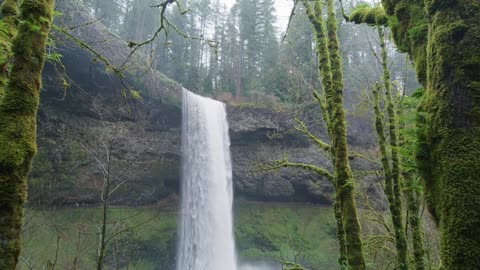 nature waterfall video
