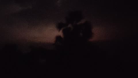 Nature at the night