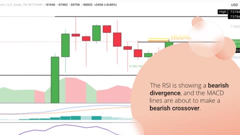 Bitcoin (BTC) Price Reaches Critical Resistance, Potential Bearish Rejection Ahead