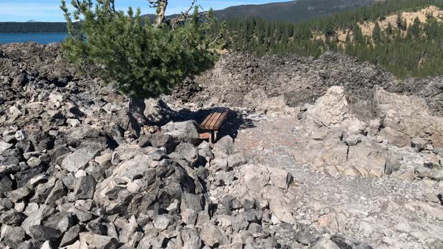 Central Oregon – Newberry Volcanic – Beautiful Sitting Area with a Lone Pine Tree – 4K