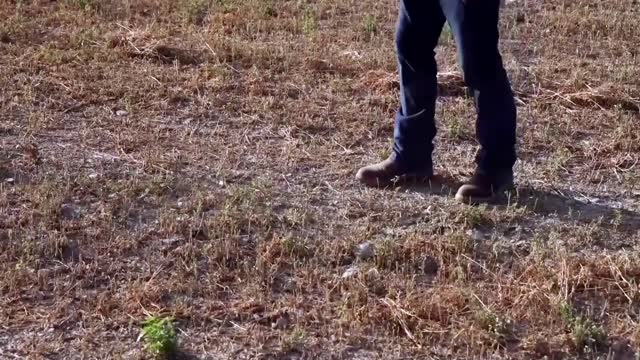 'We need rain': Mexican farmers ravaged by drought