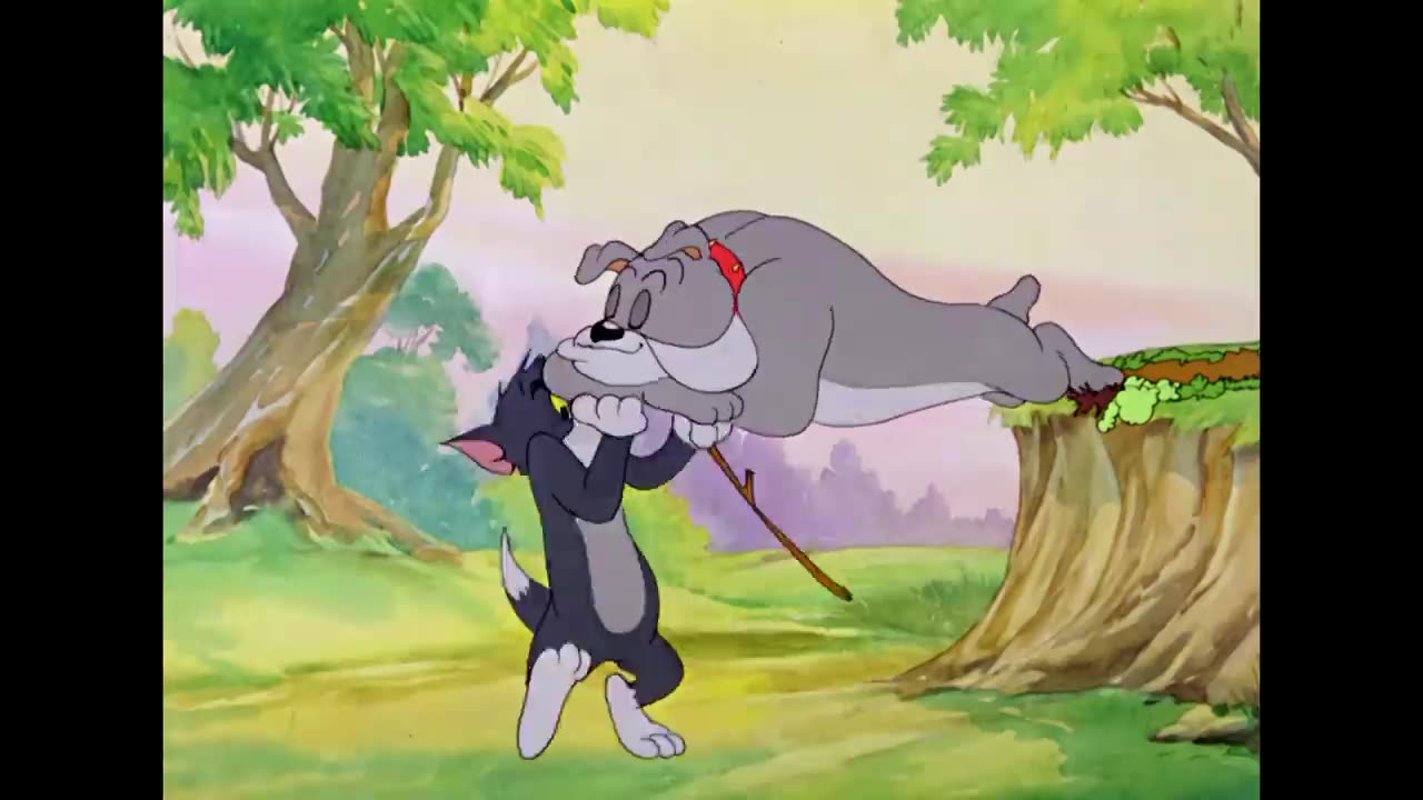 Tom and jerry cartoon