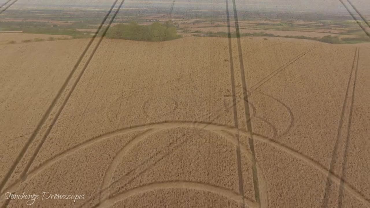 Crop Circle - Wayland's Smithy Long Barrow, Oxfordshire, England - 4 August 2023