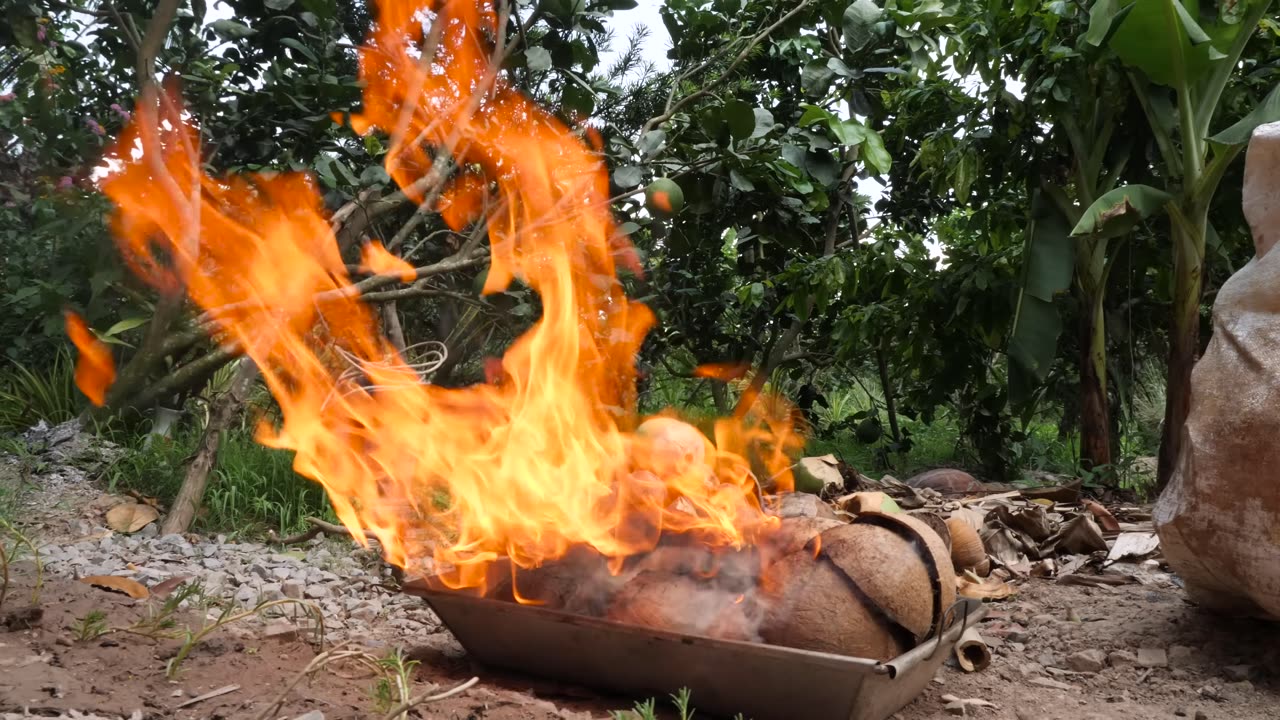 Eating a DINOSAUR in Asia!!! RARE Mekong Delta Food you will only find here!