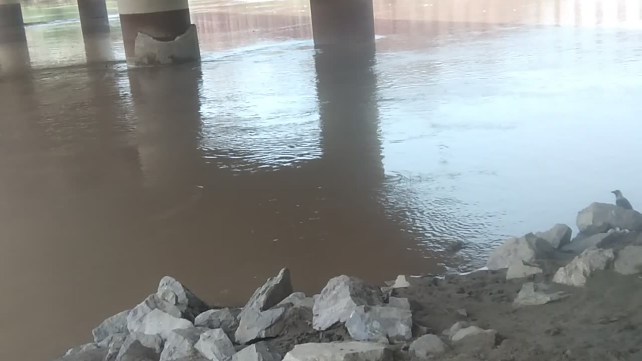 Chanab river view