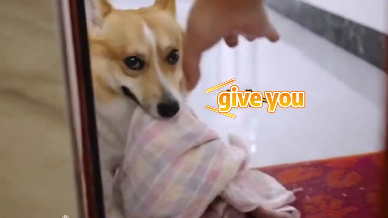 Luck,come on.I took a shower and forgot to take clothes!