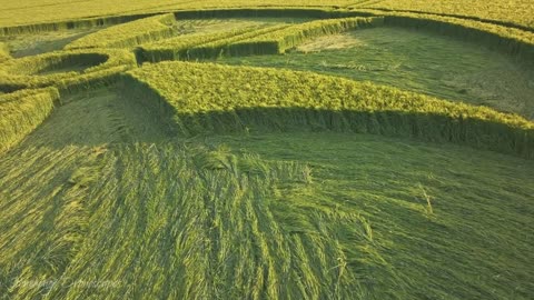 Crop Circle - Broad Hinton, Wiltshire, England - 28 May 2023