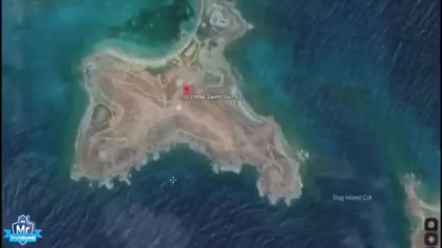 The Children Of Haiti