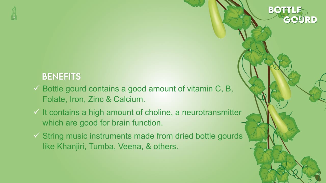 Bottle Gourd