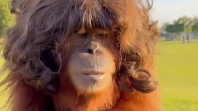 this is how i feel after going to the beauty salon