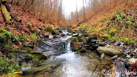 Soothing Sounds Of Waterfalls