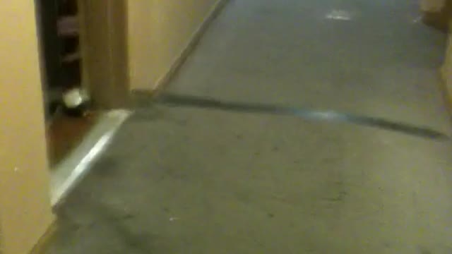A Look Inside the Building I Live In - July 4, 2021