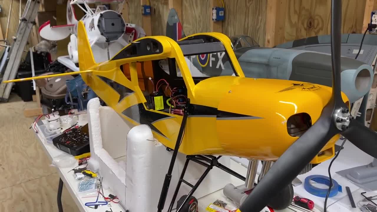 Seagull Model Savage Shock Cub Update!