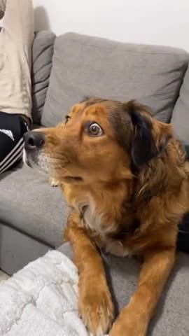 Bro was flabbergasted