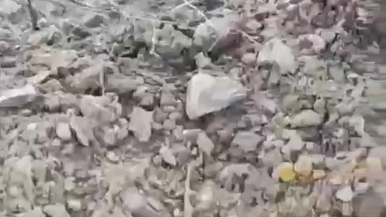 Ukrainian soldiers surrender