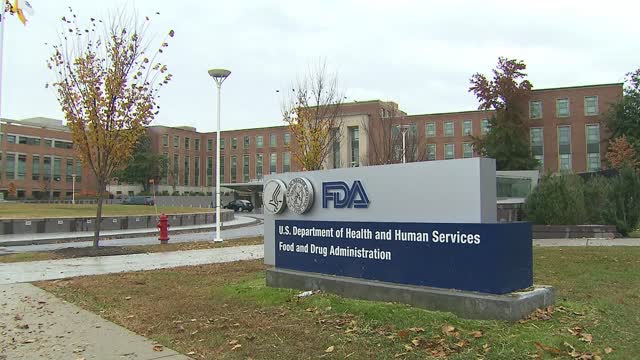 FDA puts new alzheimer's drug on fast track to approval