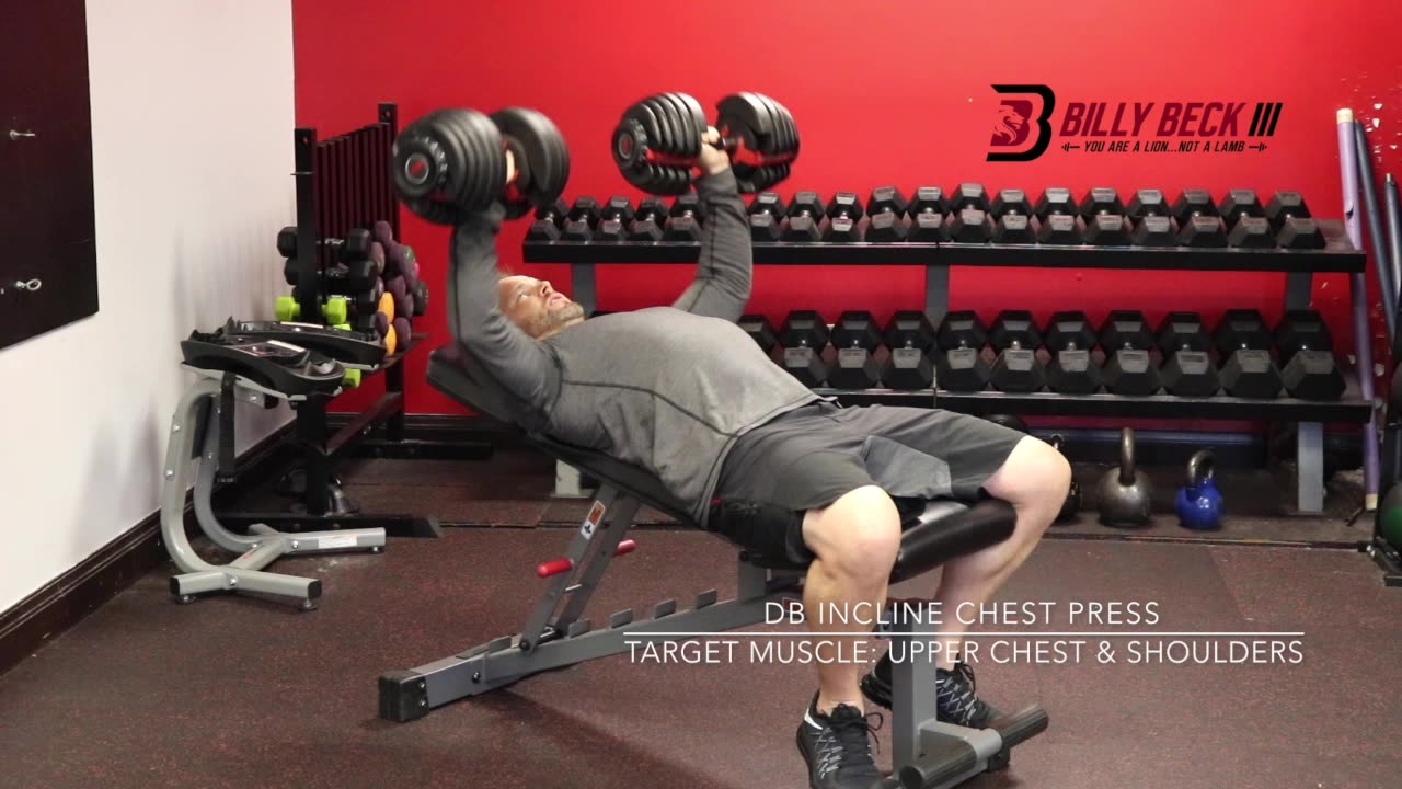 DB Incline Chest Press