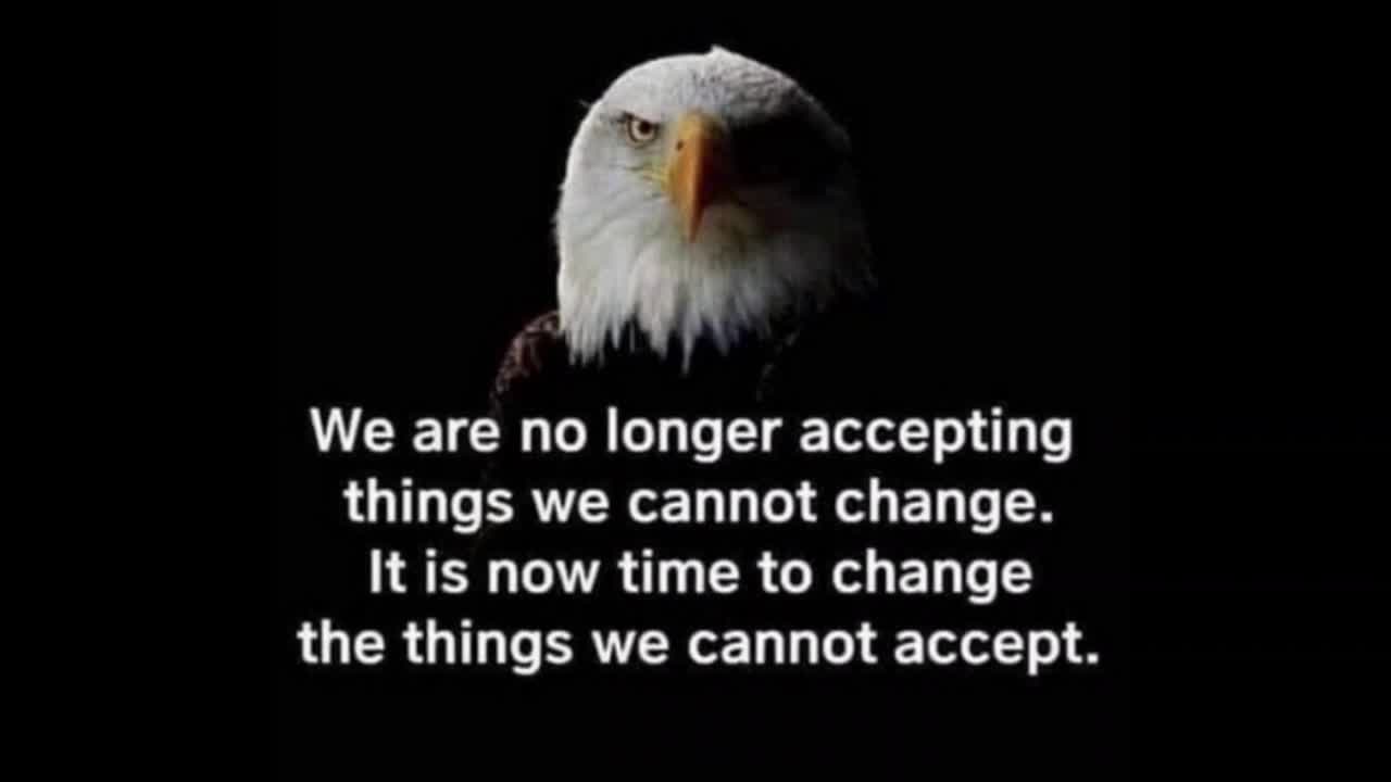 Twitter Take-Over Much Bigger - Awesome Perspective - Consciousness Awakening