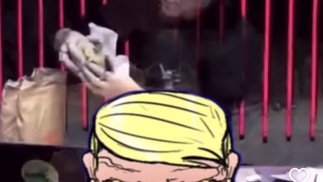 vegans vs italina journalist