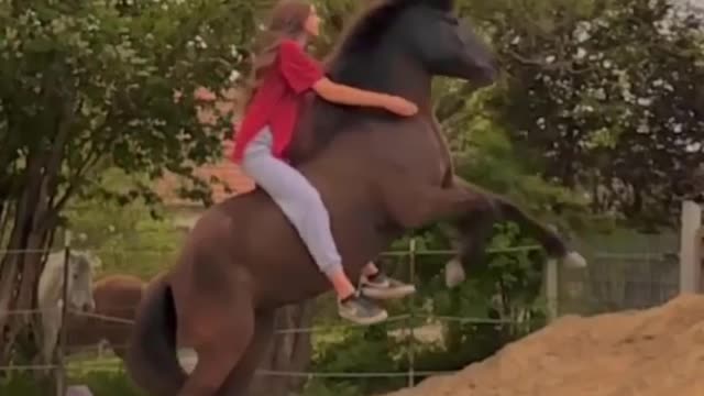 Horse SOO Cute! Cute And funny horse Videos Compilation cute moment #21