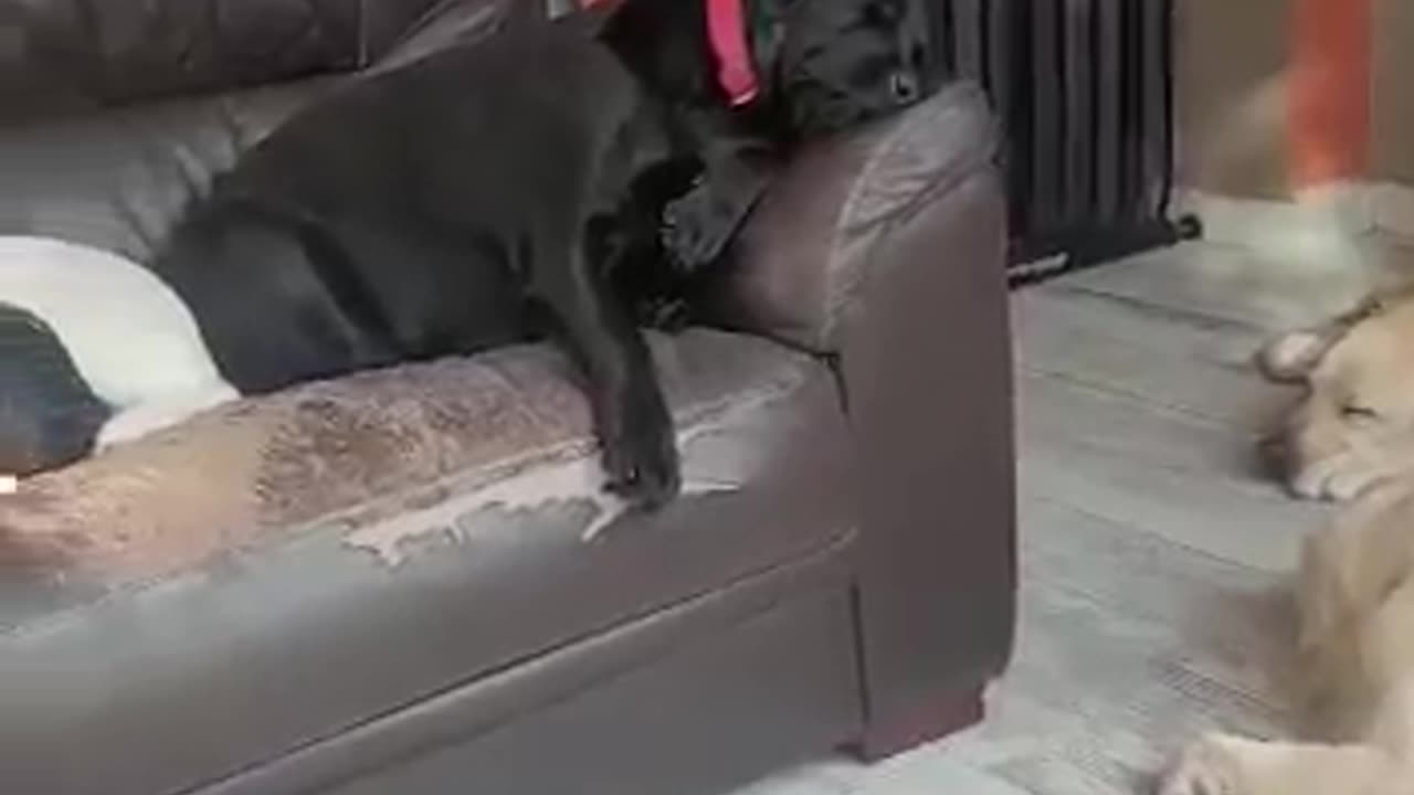Nap time at the daycare centre
