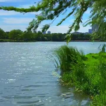 Bức tranh ngày nắng