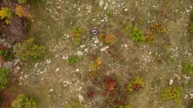 Croatia deploys drones to replant forests