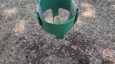 Trail Reading - Everything Depends on the Potato