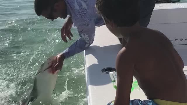 Shark Bites Off Man's Pinky