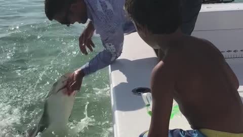 Shark Bites Off Man's Pinky