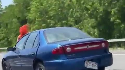 Hood Ornament😄