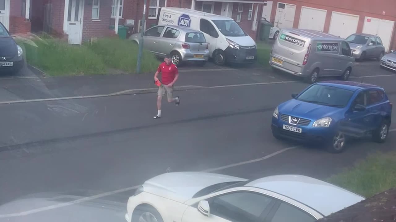 Pigeon Chases Man Down Street