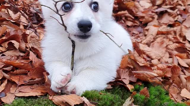 Baby Ebbe With His Baby Tree