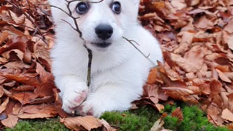 Baby Ebbe With His Baby Tree