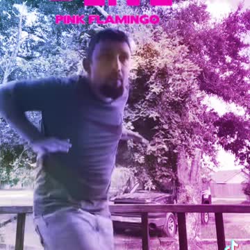 #NewDanceChallenge #PinkFlamingo