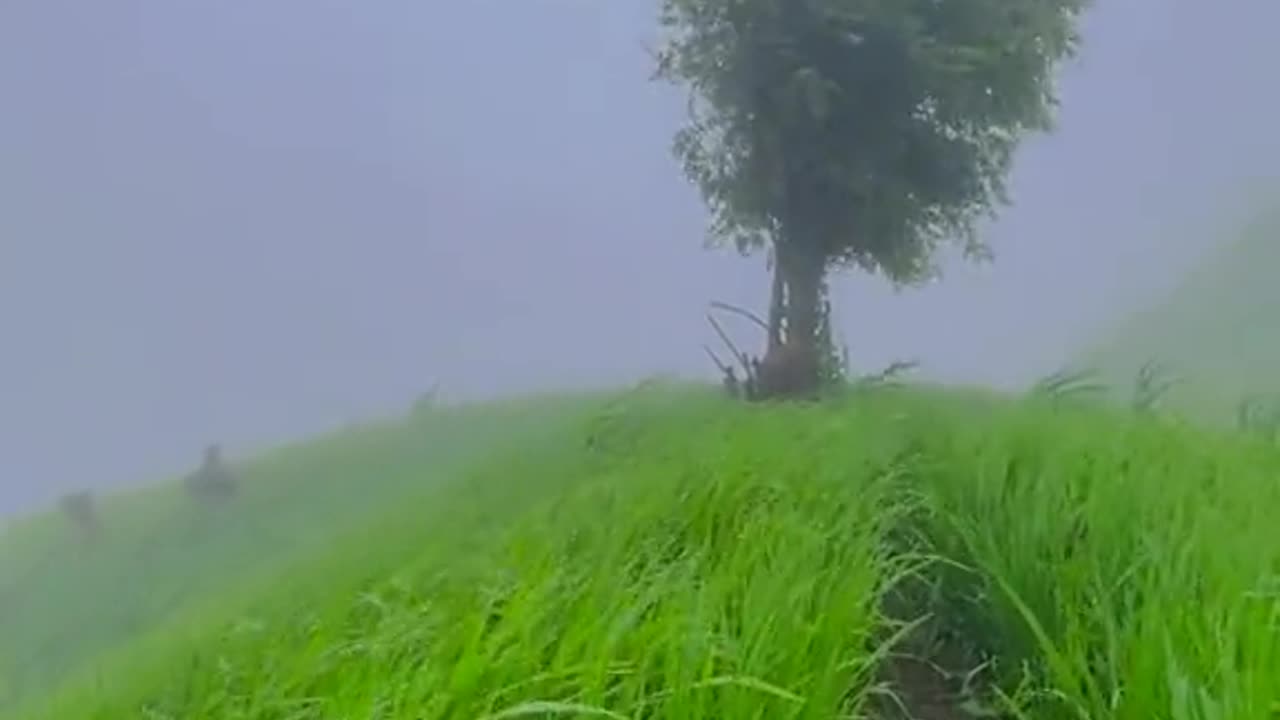 Beautiful Bangladesh part -1