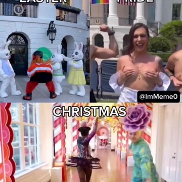 The BidAn Circus🤡🍿