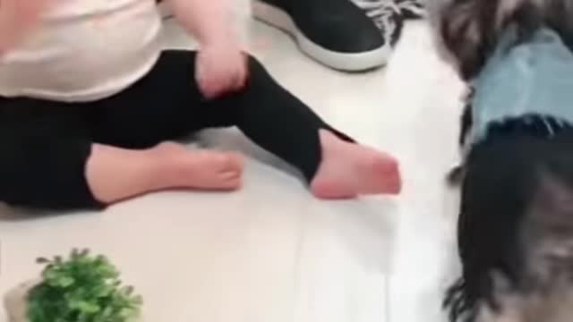 Dog and child playing # Dogs Are the Best # They make you laugh