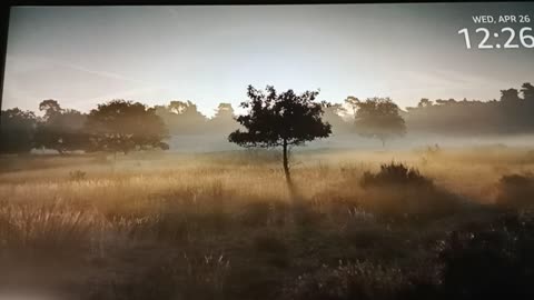 Pit 🛑 stop Jeremiah 7, part 8.