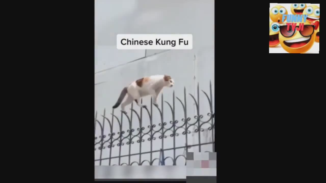 KUN FU FU 2.0