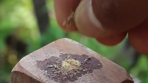 Satisfying video