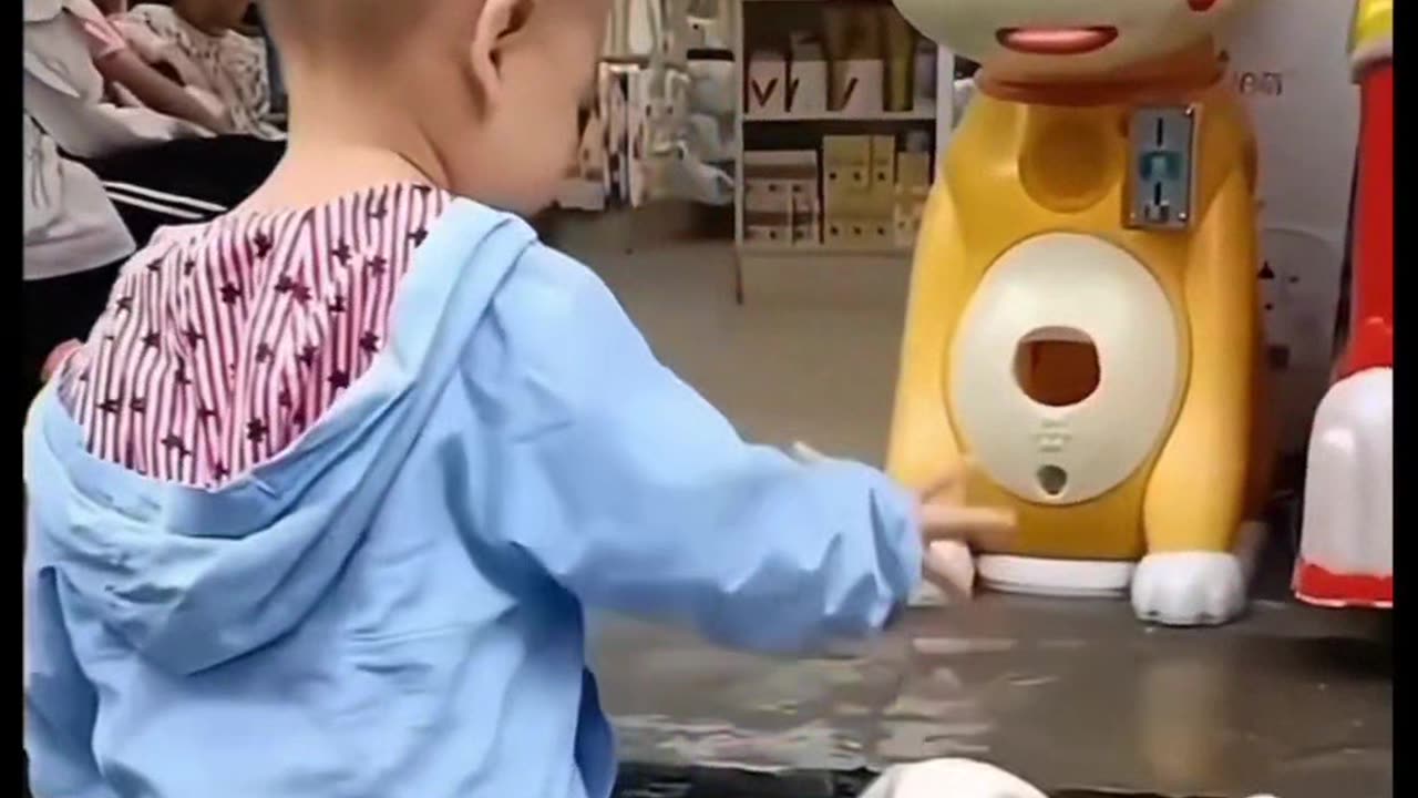 Funny animal video