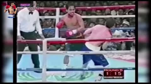 Manny Pacquiao Knockout Highlights