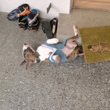 Please take it off me