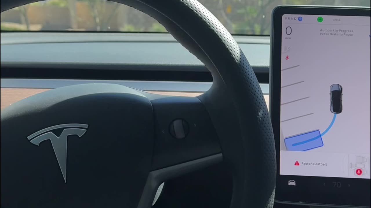 TESLA useless auto park feature