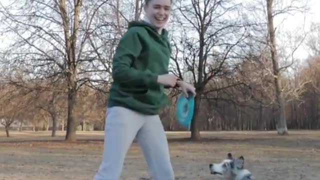 Dog training video