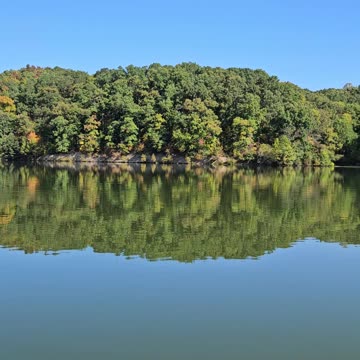 Out enjoying the fall foliage